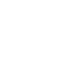 Gmail Icon